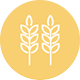 Seeds & Grains